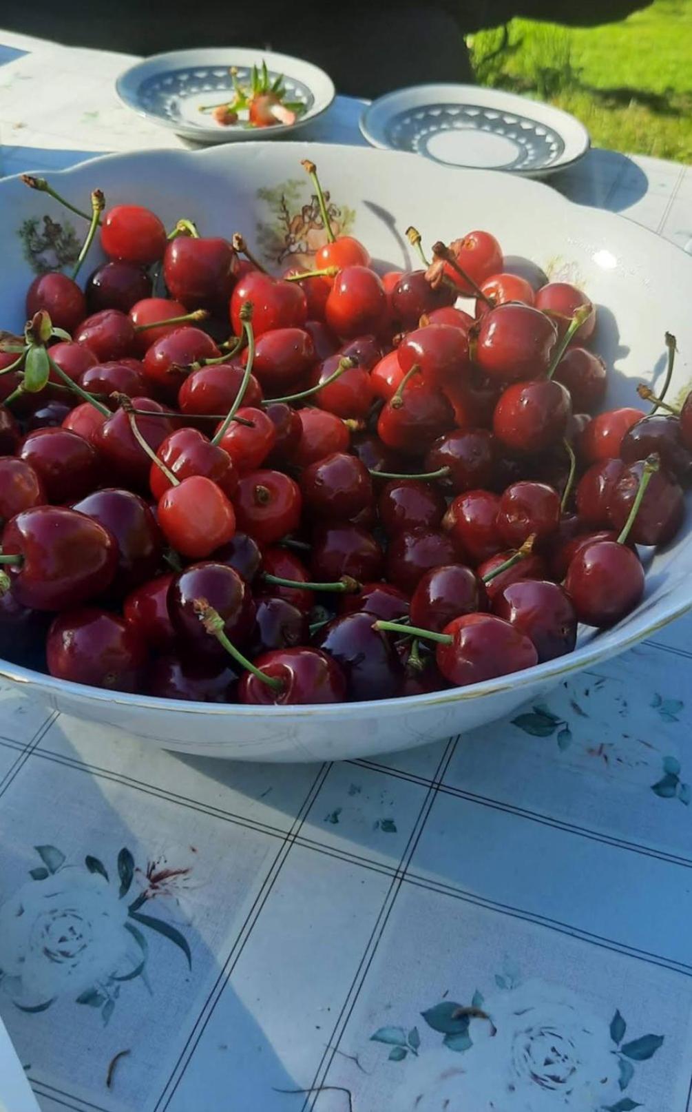 Vila Mala Farma Nani Visoko Exteriér fotografie
