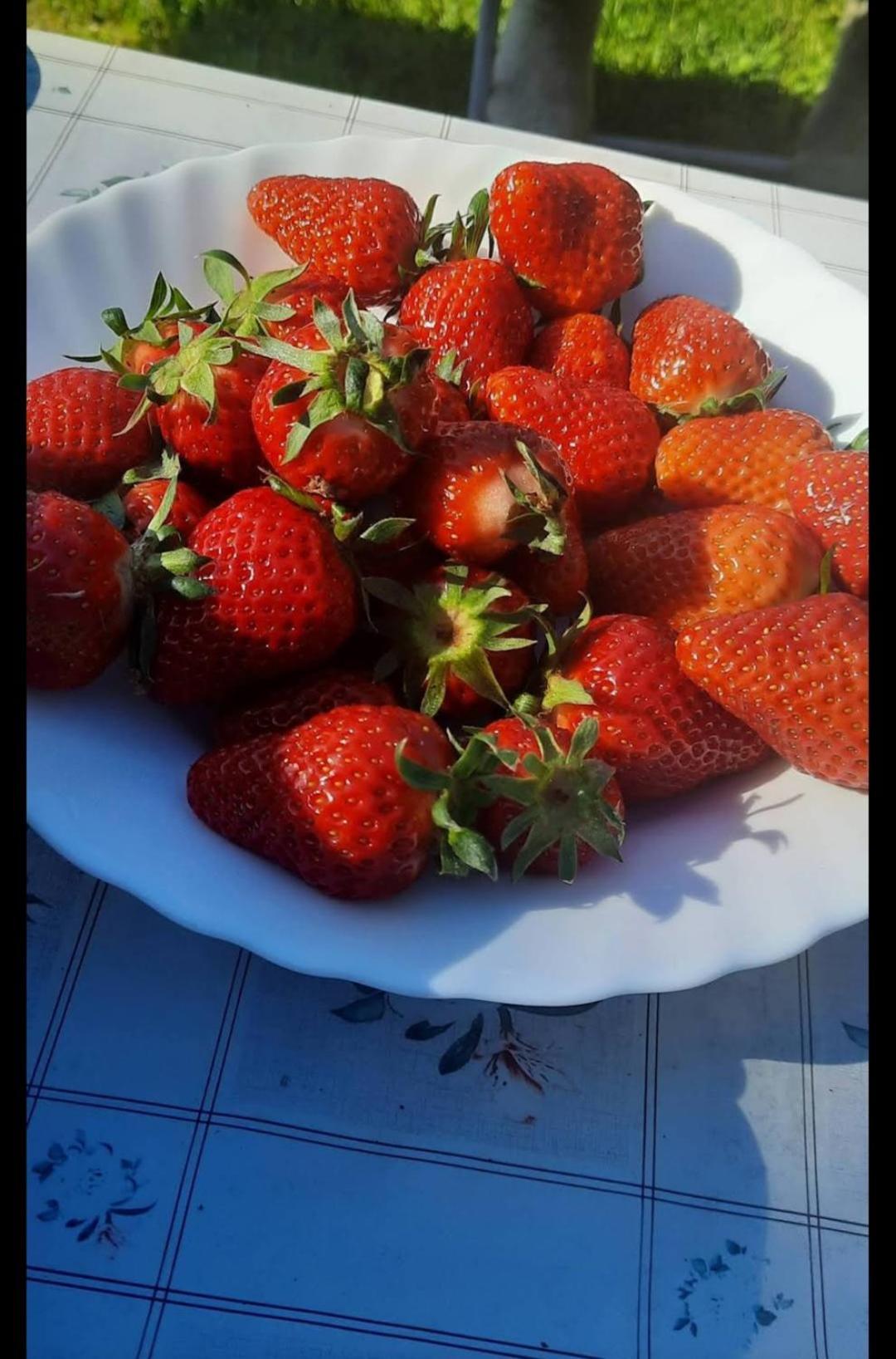 Vila Mala Farma Nani Visoko Exteriér fotografie