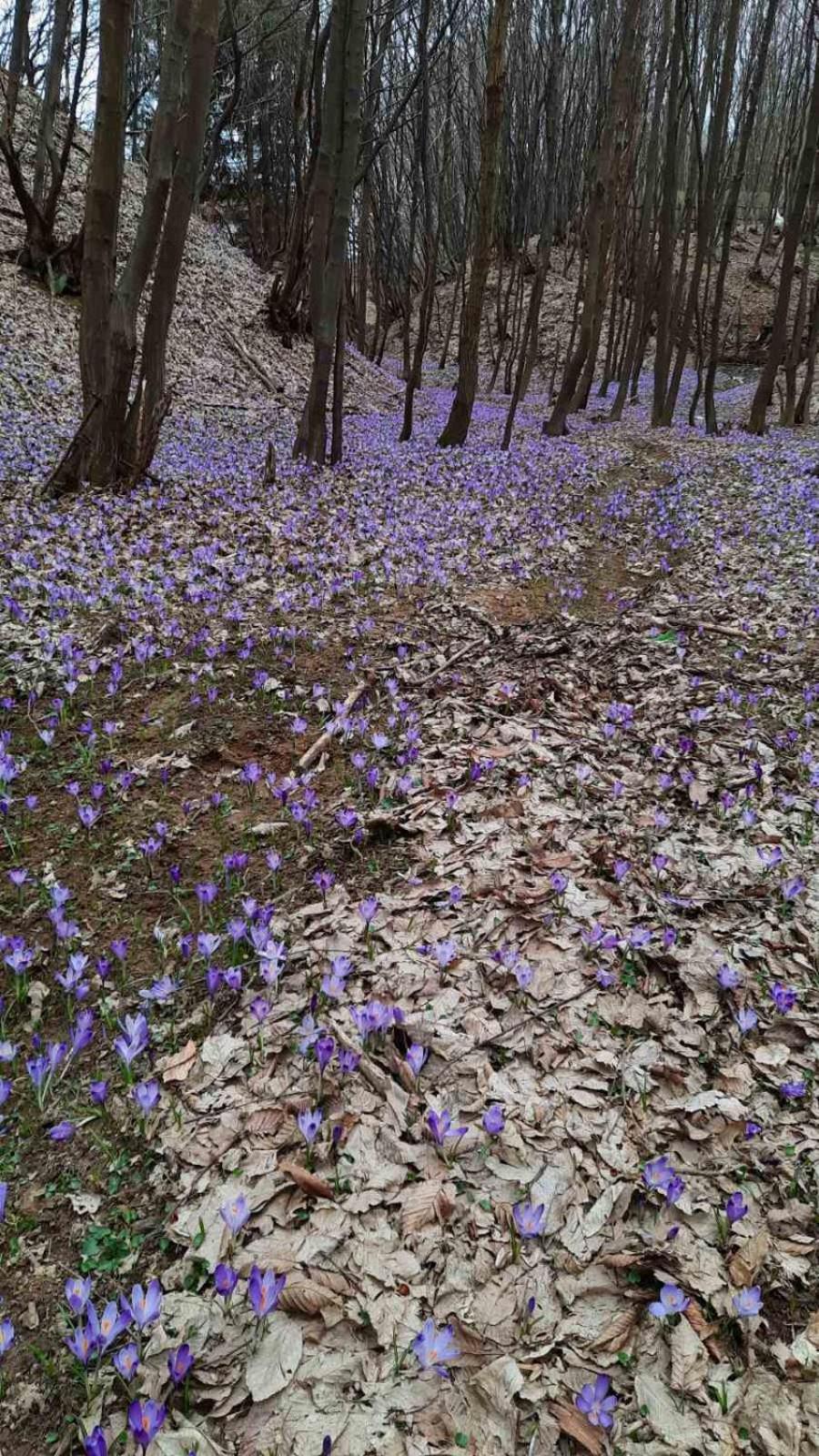 Vila Mala Farma Nani Visoko Exteriér fotografie