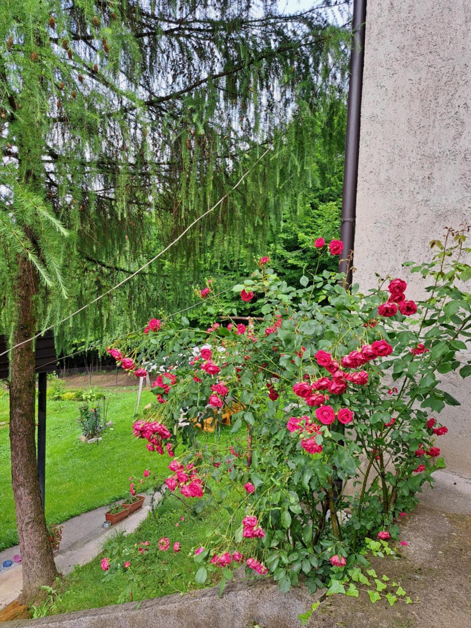 Vila Mala Farma Nani Visoko Exteriér fotografie