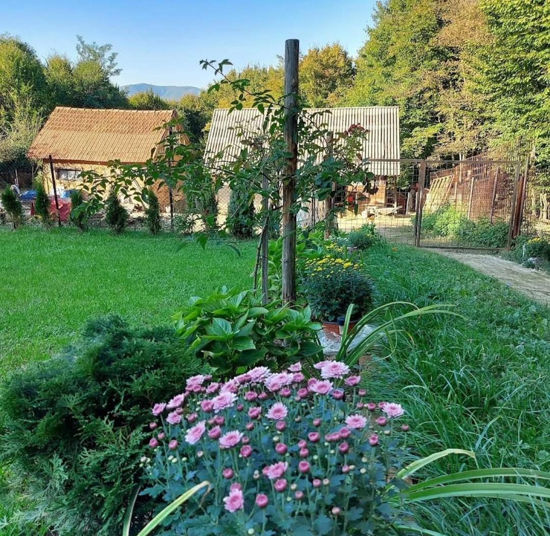Vila Mala Farma Nani Visoko Exteriér fotografie