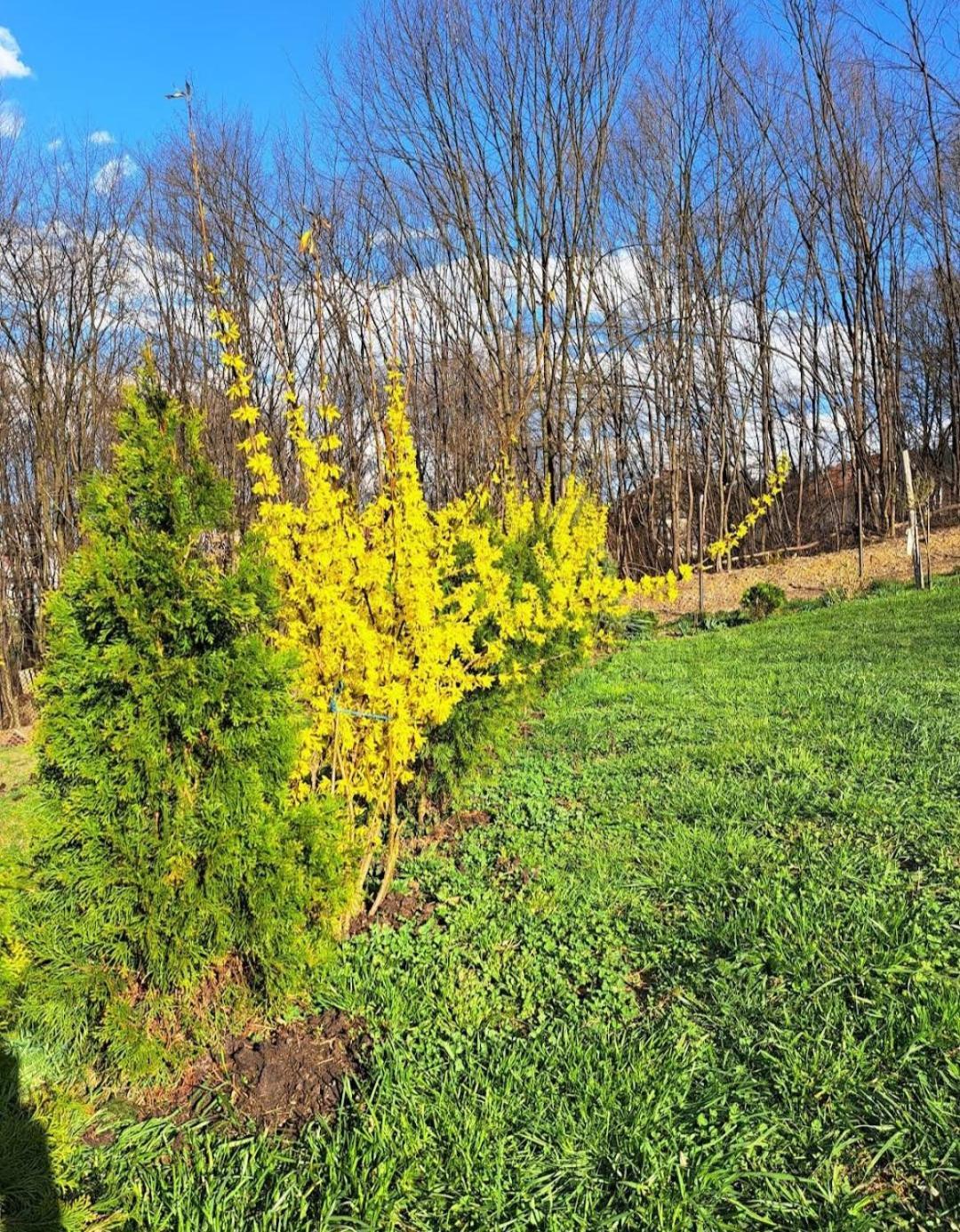 Vila Mala Farma Nani Visoko Exteriér fotografie