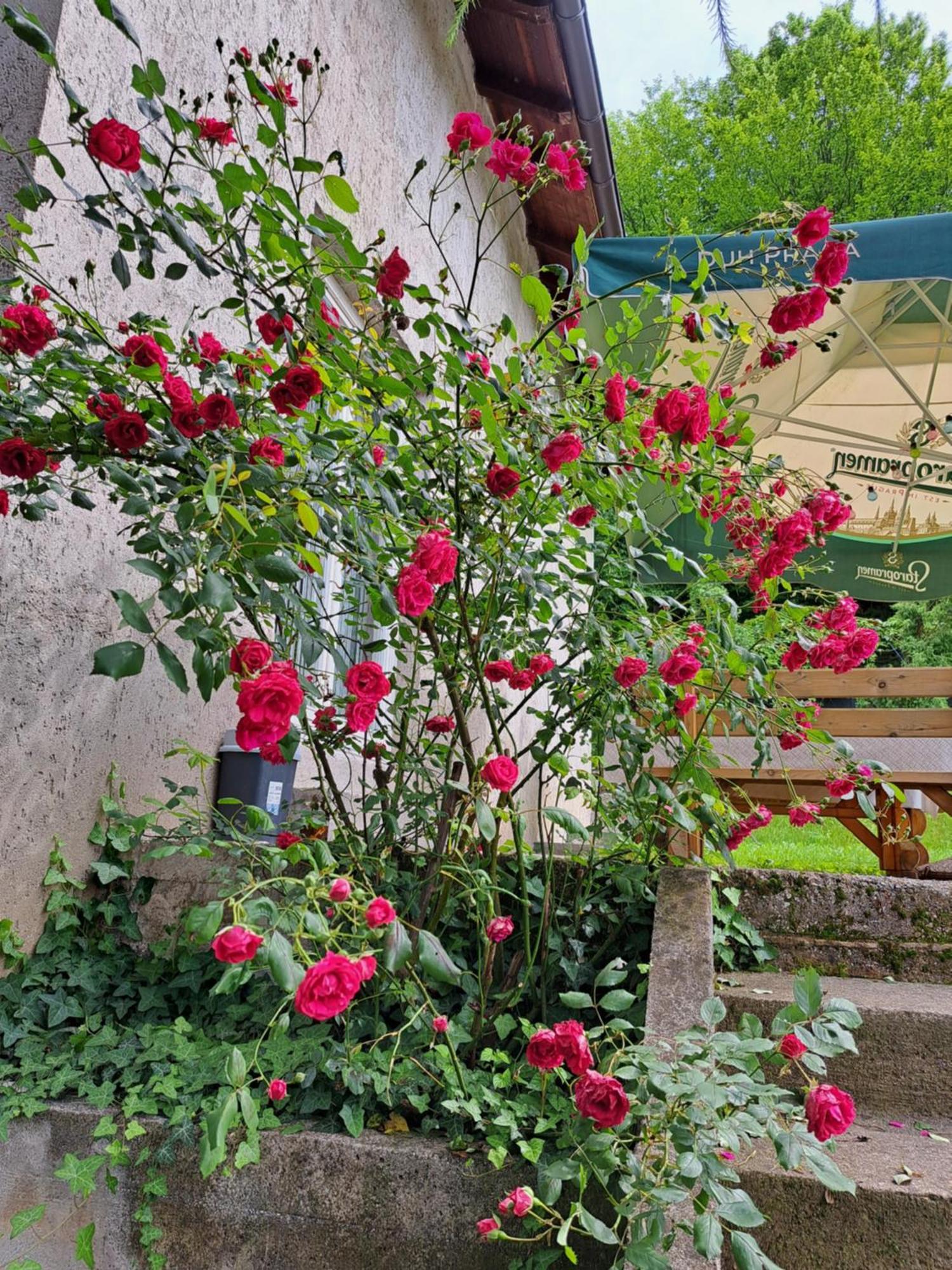 Vila Mala Farma Nani Visoko Exteriér fotografie