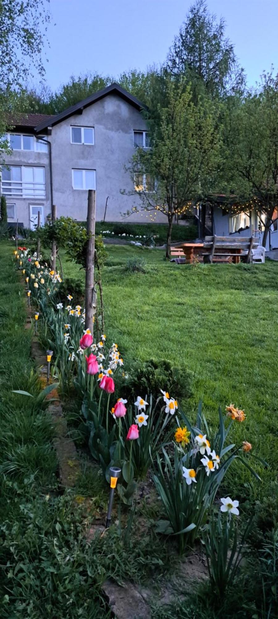 Vila Mala Farma Nani Visoko Exteriér fotografie