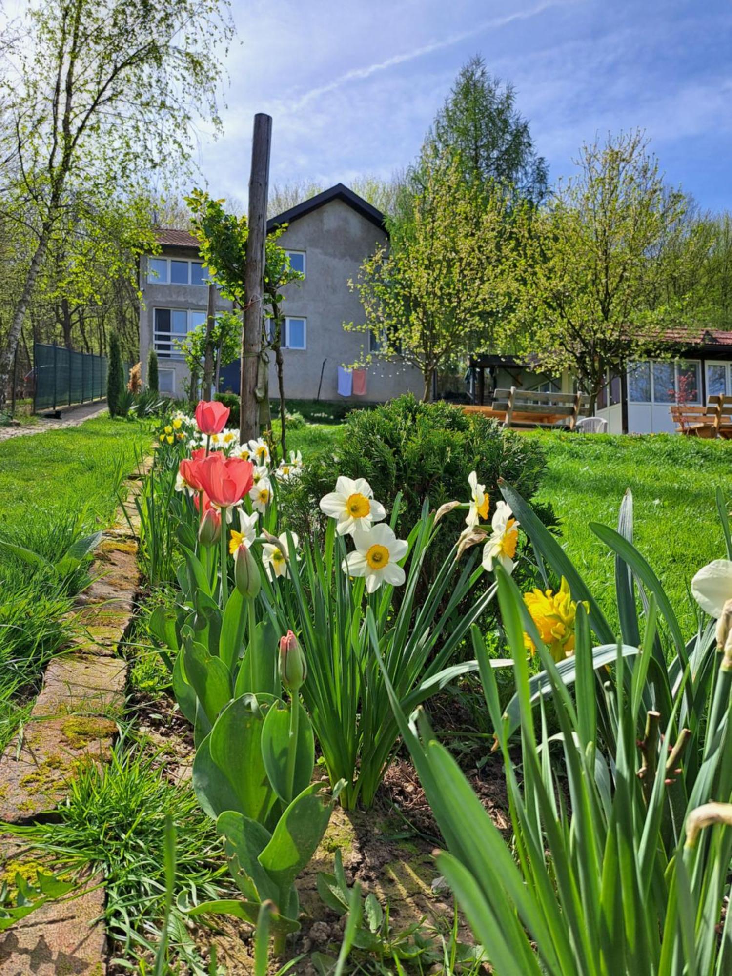 Vila Mala Farma Nani Visoko Exteriér fotografie