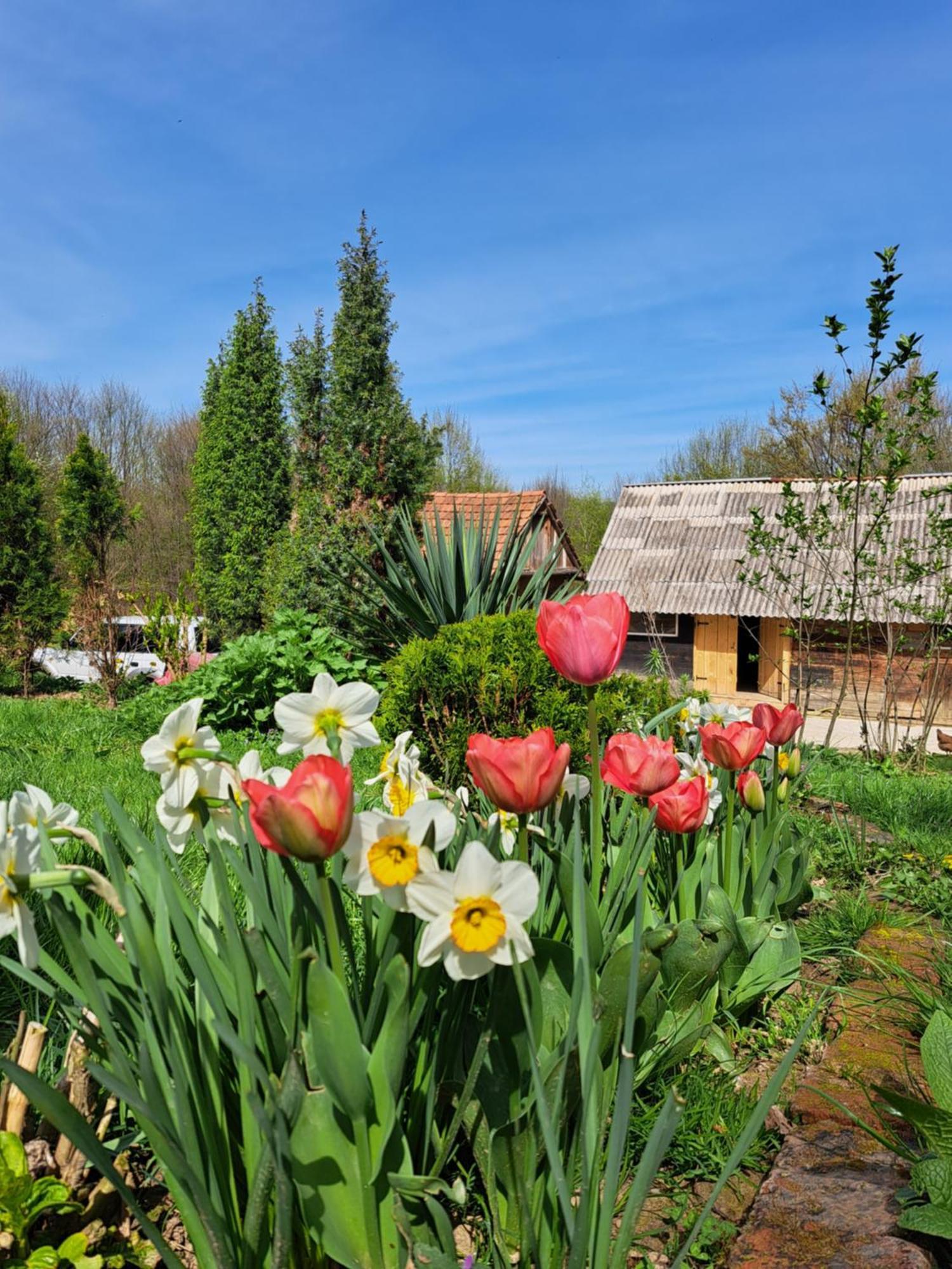 Vila Mala Farma Nani Visoko Exteriér fotografie