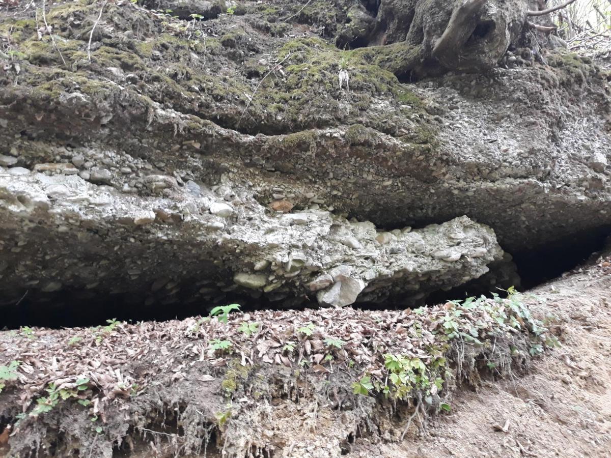 Vila Mala Farma Nani Visoko Exteriér fotografie